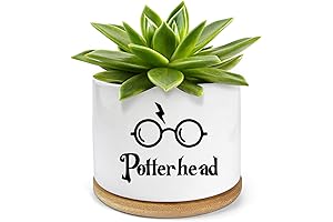 Rae Dunn Harry Potter Collection Ceramic Succulent Planter
