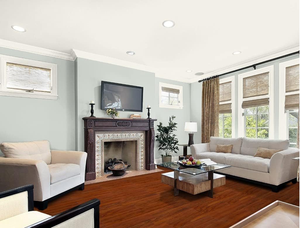 Revo Interior Paint + Primer In One, Flat, Into The Stratosphere, 1 Gallon : Everything Else