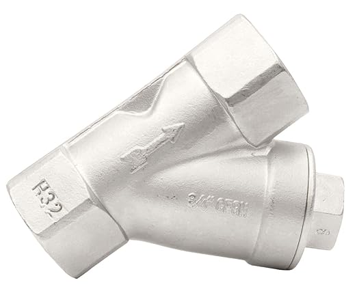 1/4" Stainless Steel Y-Strainer - 800WOG, FxF NPT 100mc Strainer