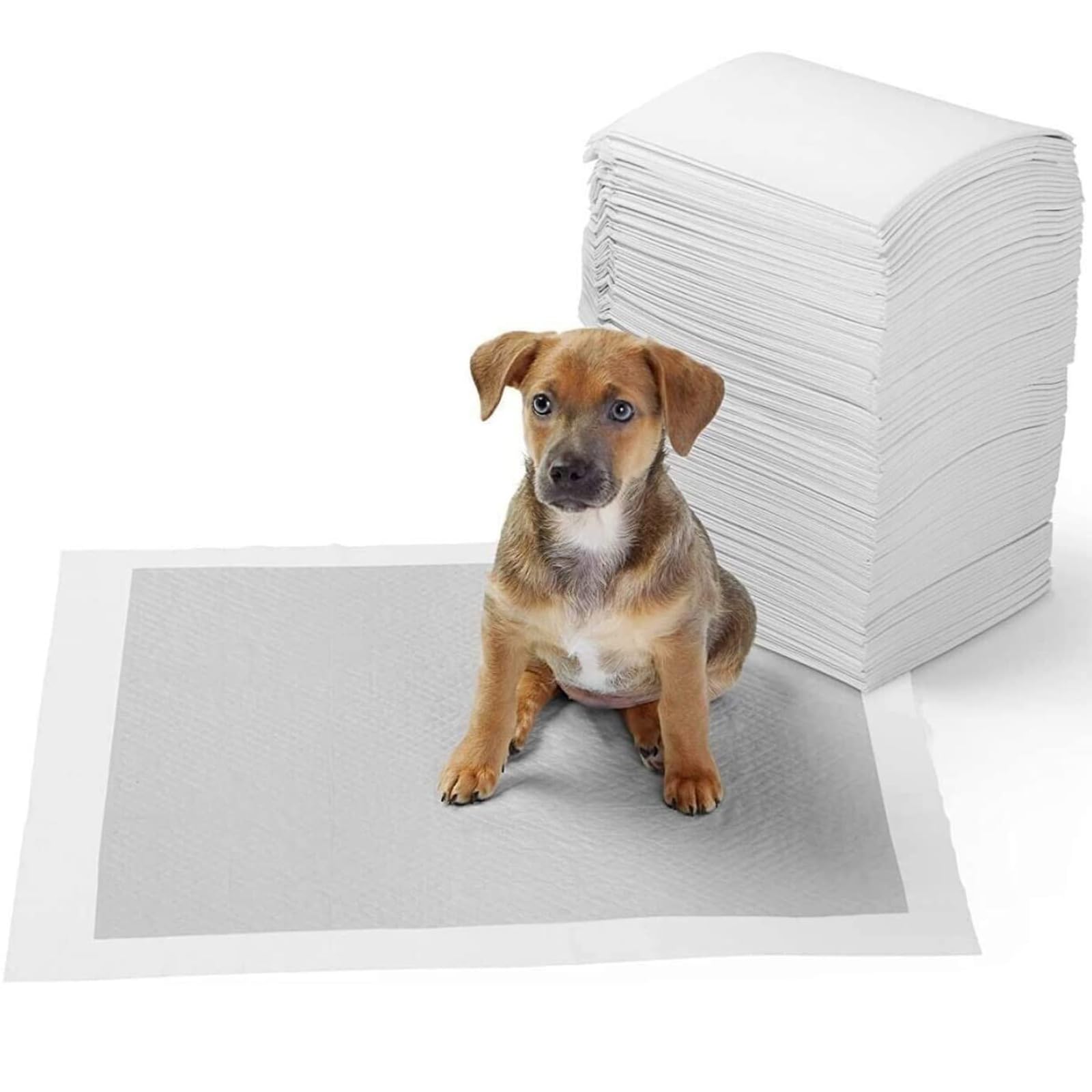 NTEK Dog & Puppy Training Pads | Super Absorbent, Leak-Proof, Odor-Controlled Pet Pads | Ideal for Incontinence, Tiny Dogs, Kittens, or Puppies | 60 x 45 cm