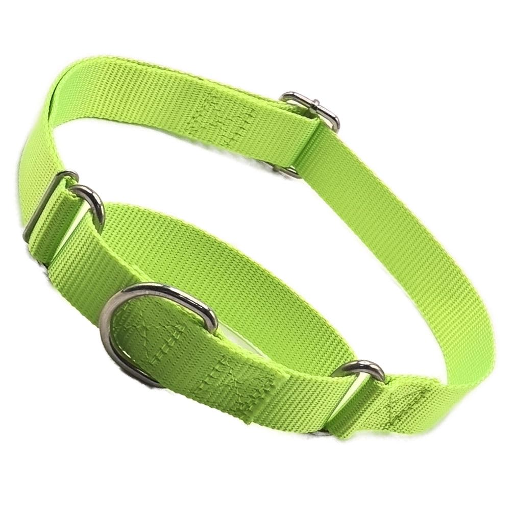 Choke Collar For Dogs, Martingale Dog Collars For Large Dogs Heavy Duty No Slip Training Dog Choker Collar For Small Medium Large Dog (Green, L)