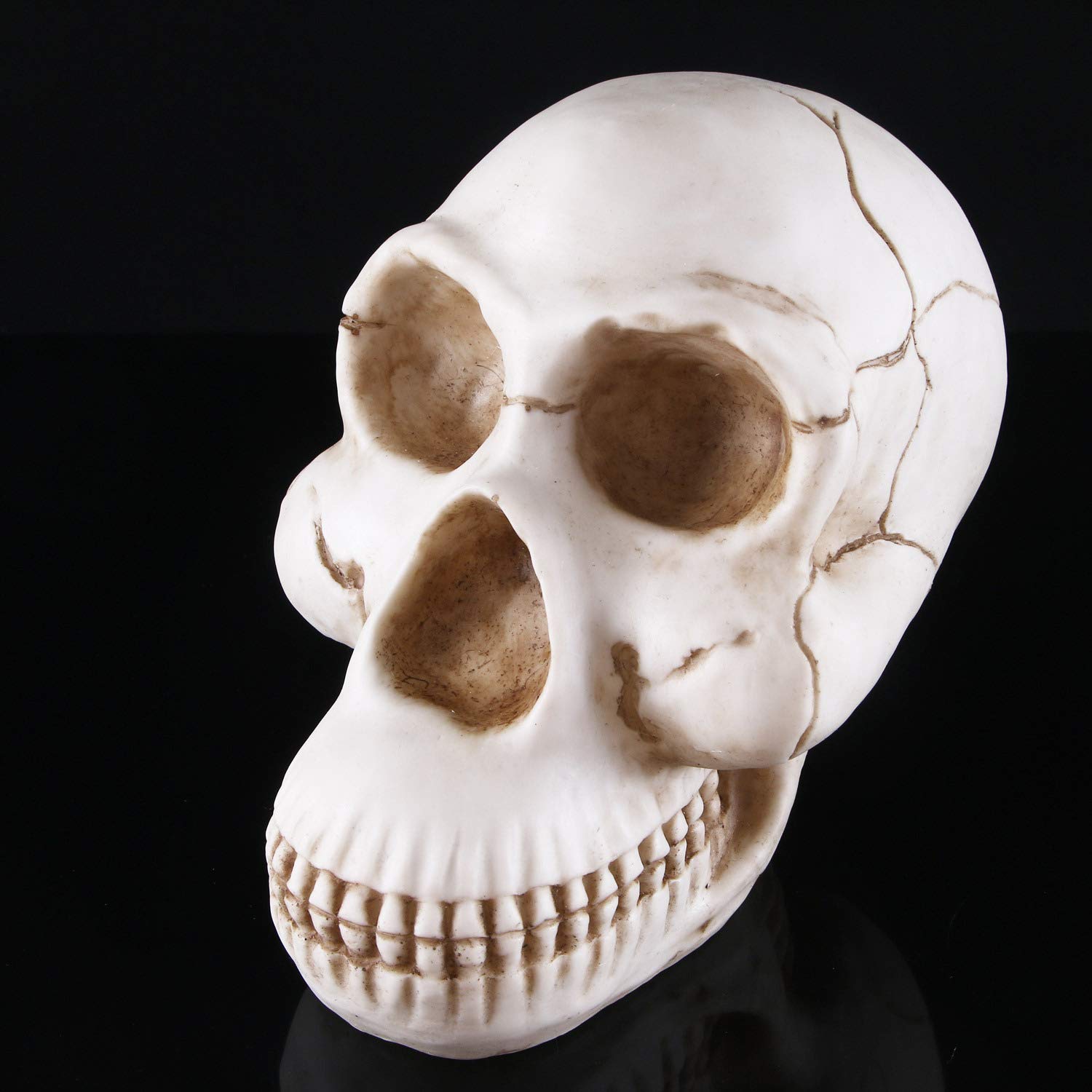 Modelo de cráneo de Gorila, Escultura de cráneo de Mono, artesanías de Cabeza de Resina, decoración del hogar de Halloween, Estatua, Escultura Artesanal, Herramienta de enseñanza médica de cráneo