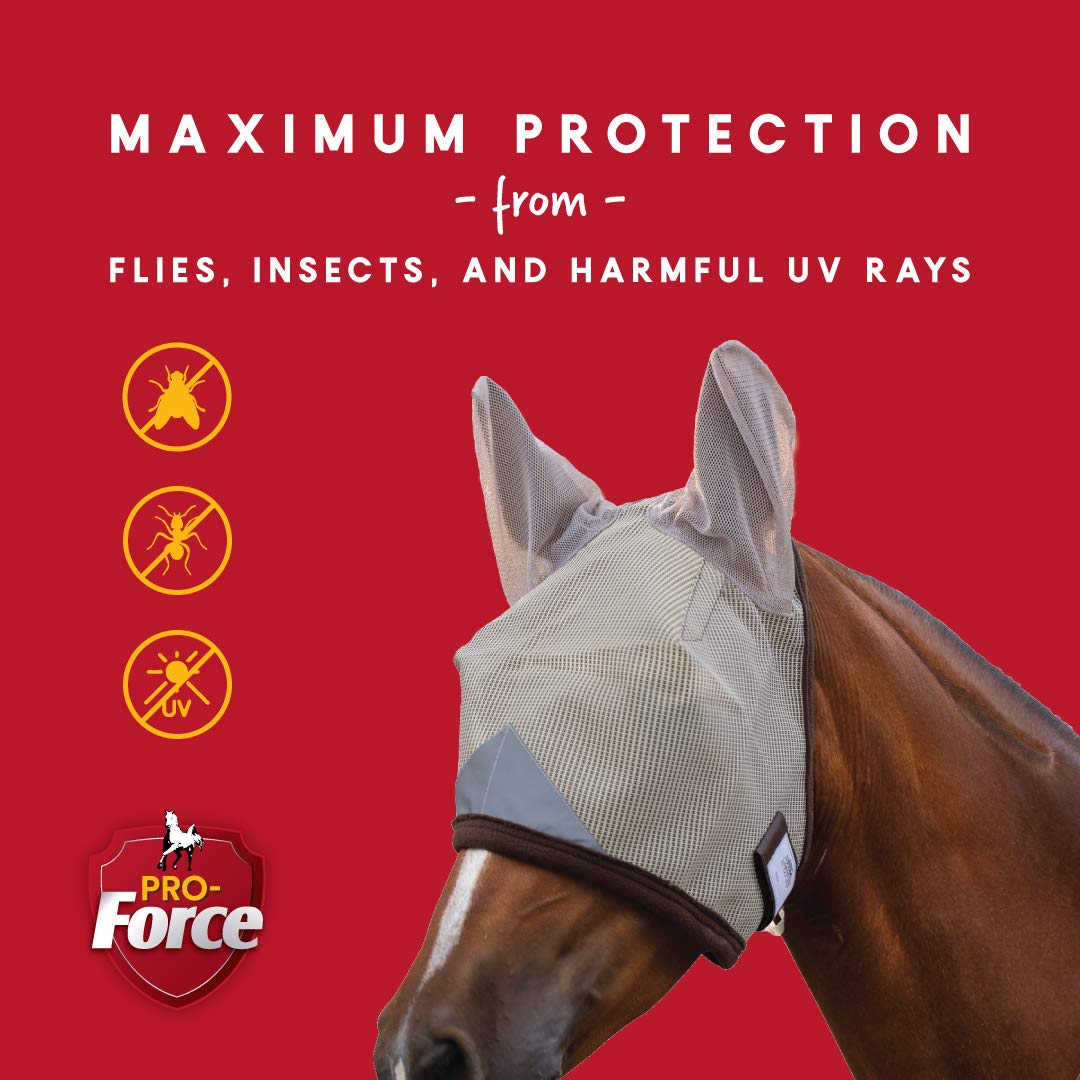 CHG masque de mouche de cheval avec oreilles Masque anti-mouches en maille de cheval Masque de