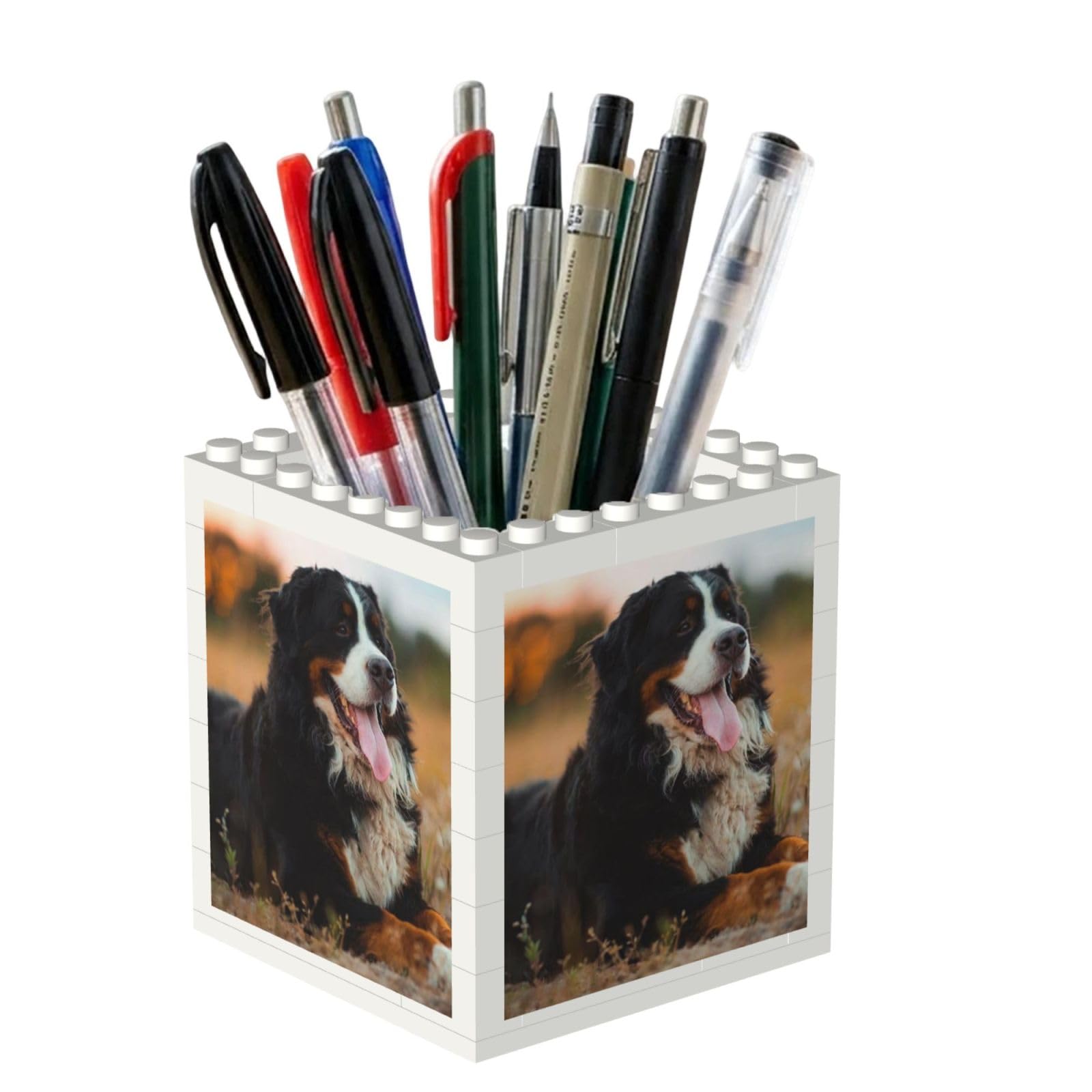 Poadnly Bernese Mountain Dog, Pen Pot Pencil Holder for Office Home School, Compact Desk Organiser for Office Stationery