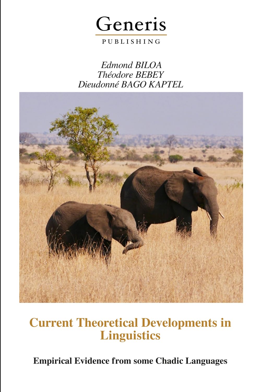 Current Theoretical Developments in Linguistics: Empirical Evidence from some Chadic Languages