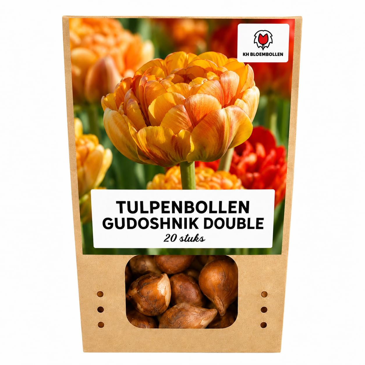 Bulbos Tulipán Gudoshnik Double, para Jardín, Multicolor, Set de 20 Bulbos