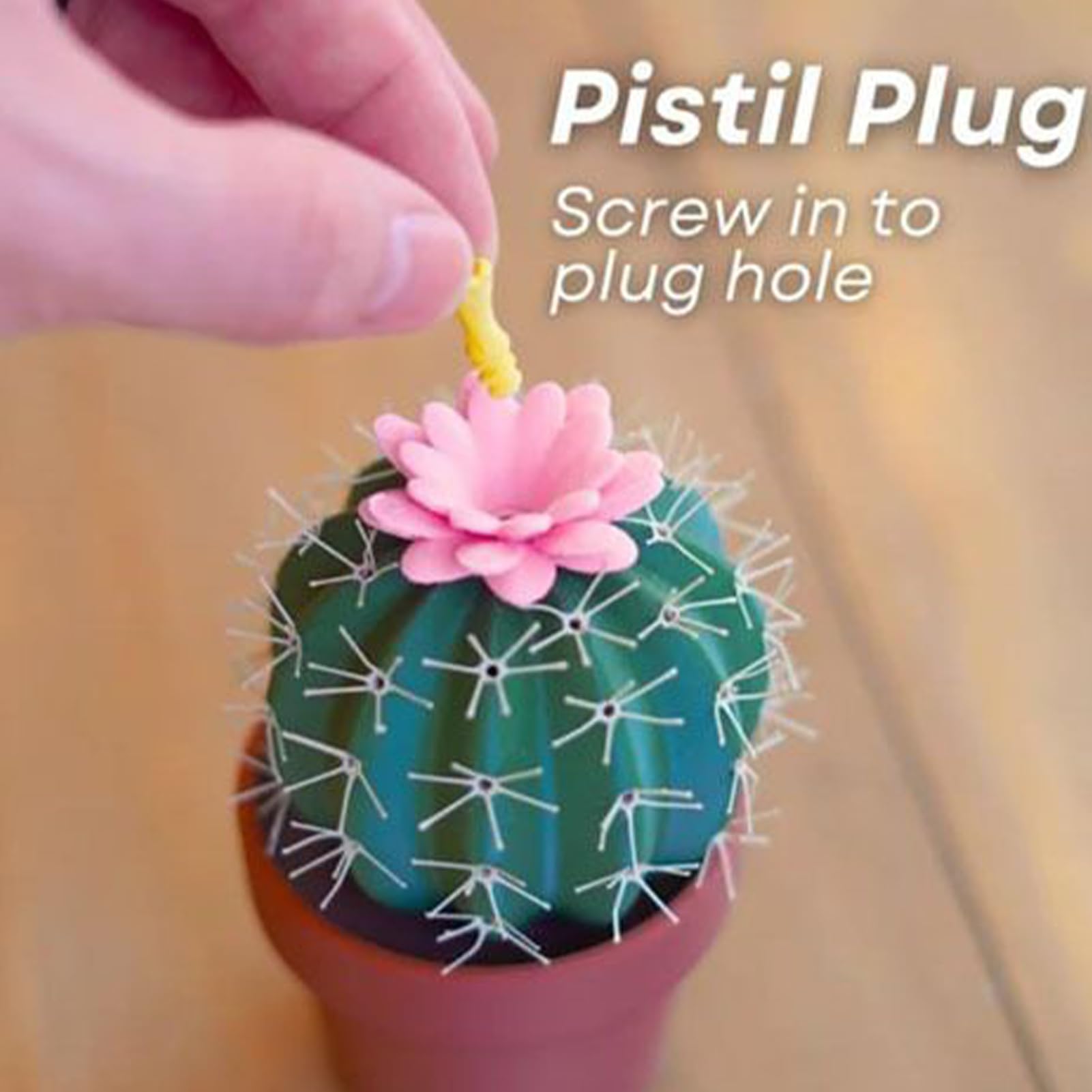 Kakteen Salz Und Pfefferstreuer, Lustige Salzstreuer, Cactus Salt And  Pepper Shaker, Kchentisch Kakteen Deko, Einweihungsgeschenk Wohnung :  Amazon.de: Kche, Haushalt & Wohnen