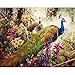 Produktbild JJAYK Malen nach Zahlen für Kinder Erwachsene Farbiger Pfau DIY Ölgemälde Vorgedruckt Leinwand Kits Home Dekoration 16x20 Zoll (Mit Holzrahmen)