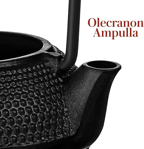 Miniatura 8 de Mini tetera de hierro fundido, tetera japonesa con patrón de hojas retro, pequeña tetera decorativa para elaborar cerveza y decoración del hogar,