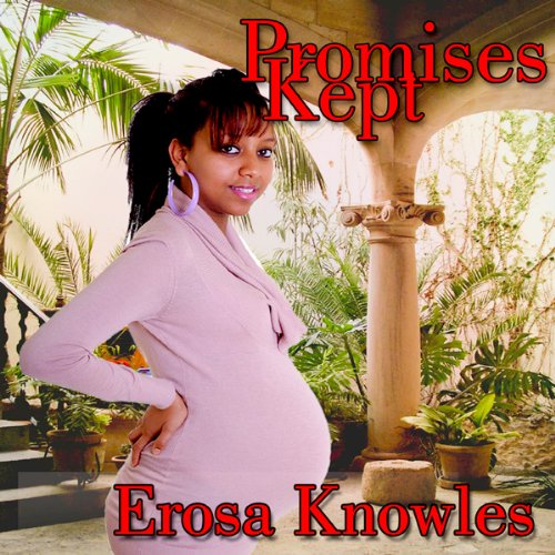 Cover art for Promises Kept