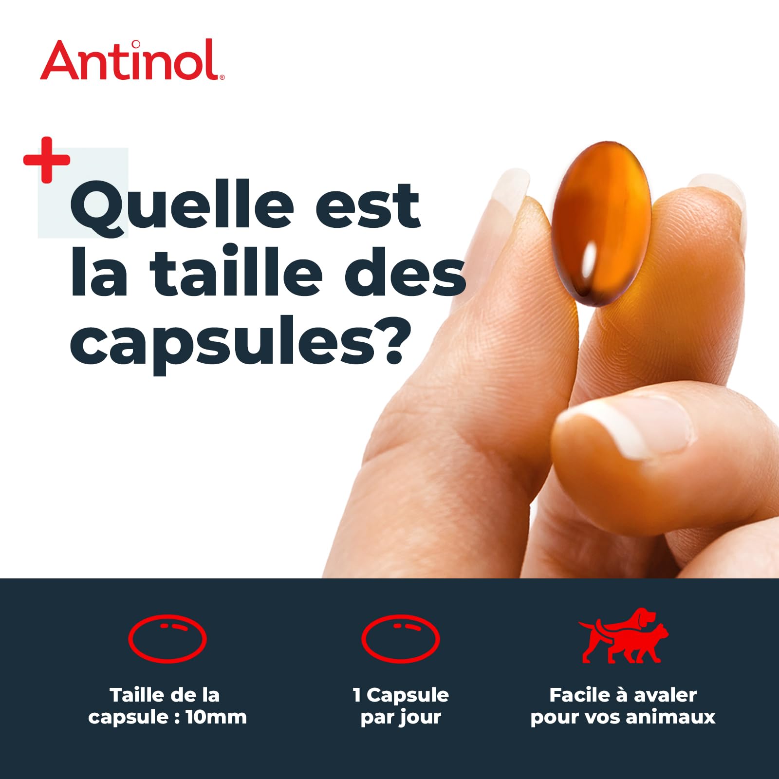 Antinol - Complément Naturel des Chats Adultes - cliniquement prouvé - soutient la mobilité des articulations et la santé de la Peau - avec des moules à lèvres Vertes, oméga 3 & VIT E - 90 Capsules