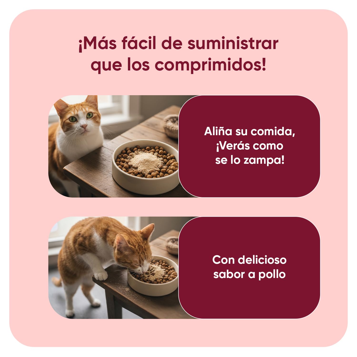 animigo Antiparasitario en Polvo para Gatos 100g Sabor Pollo - Protección Natural Antipulgas y Antigarrapatas Muy Fácil de Suministrar Formulado con Ingredientes Naturales, Vitaminas Grupo B y Zinc