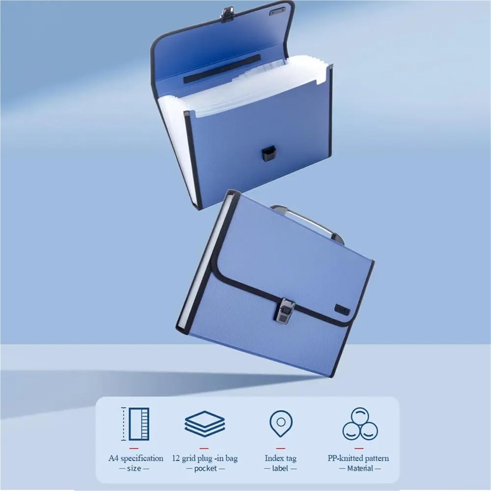 Cartella di file espandibile da 2 pezzi 12 tasche Organizzatore a fisarmonica con etichette, organizzatore portatile ricevute documenti for formato lettera A4