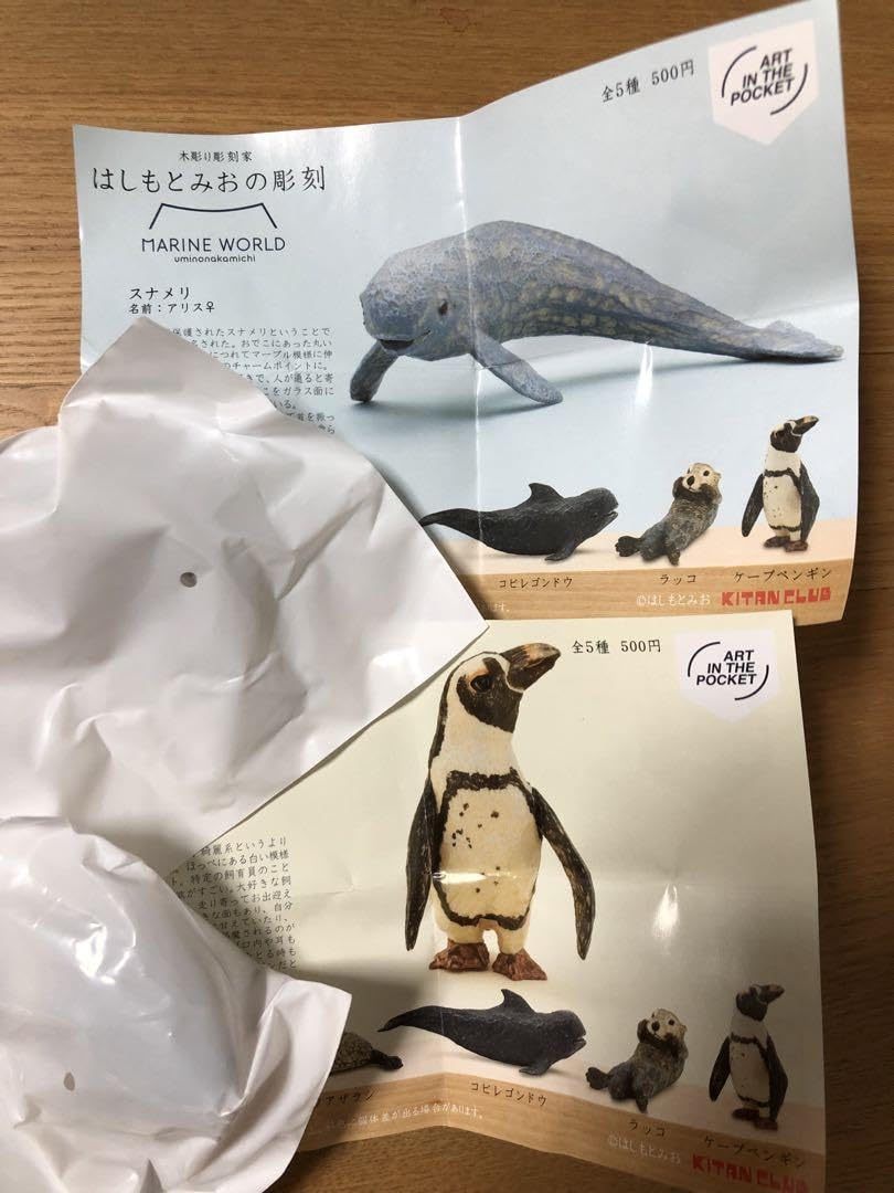 Amazon.co.jp: マリンワールド海の中道 はしもとみおの彫刻