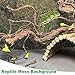 kathson Reptile Carpet, Natural Moss Mat for Terrarium, Bearded Dragon Tank Flooring Green Substrate Liner for Leopard Gecko Hermit Crab Lizard Tortoise (47.24