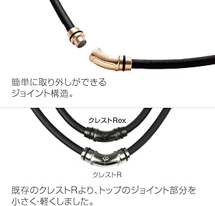 Amazon.com: Colantotte Crest R EX Colantotte Necklace : Everything