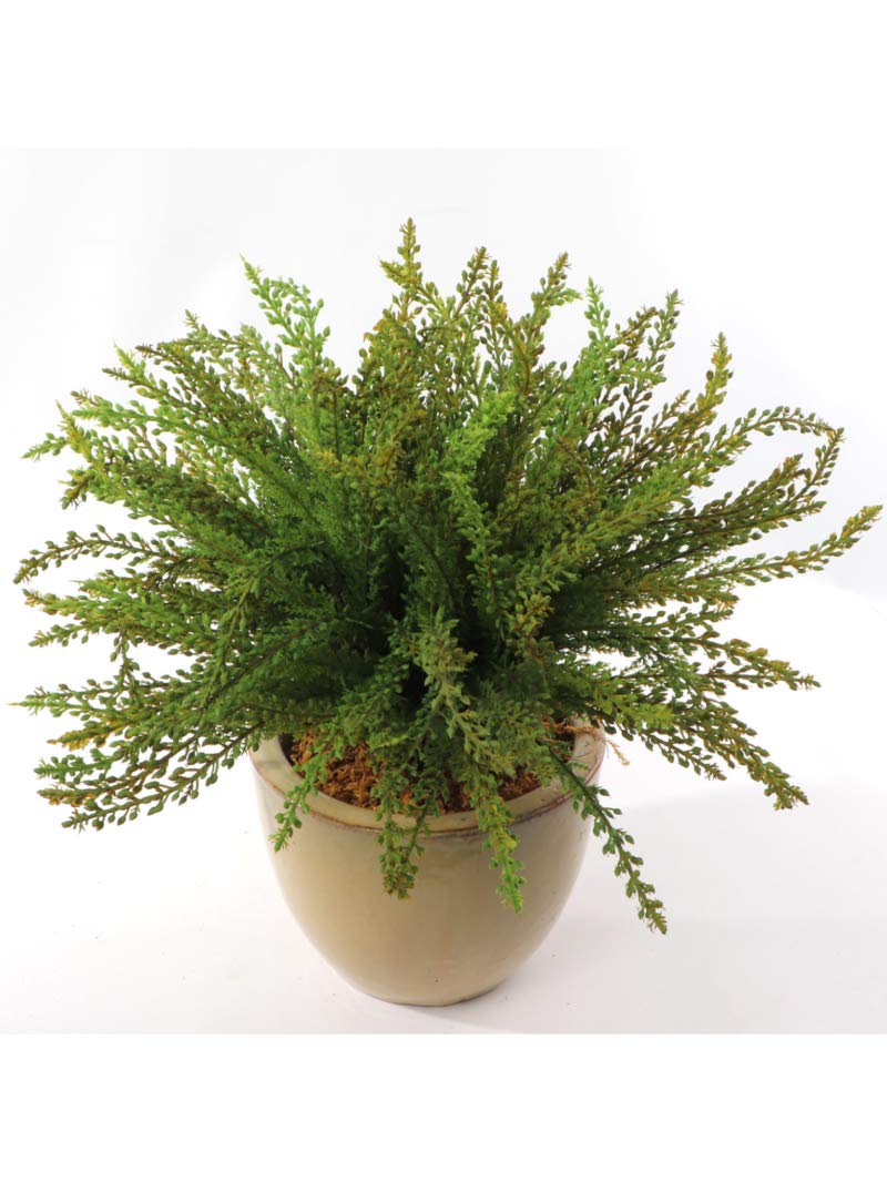Target Artificial Plants Decor For You
