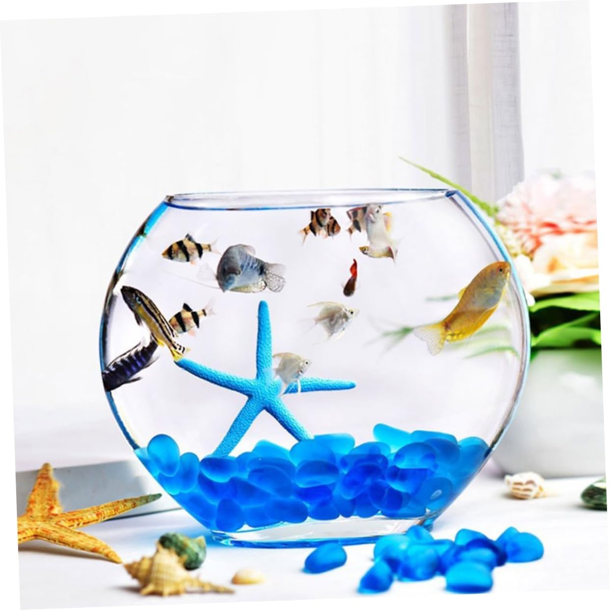 Totority Transparent Glass Fish Bowl Small Decorative Aquarium Tank for Hydroponic Plants Desktop Fish Tank for Home Office Garden Purification and Display