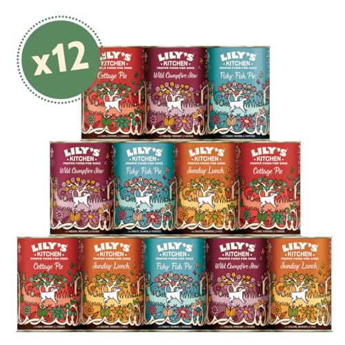Lily's Kitchen natürliches Nassfutter für ausgewachsene Hunde, Dosen, getreidefreie Rezepturen, verschiedene Sorten (12 x 400g dosen)