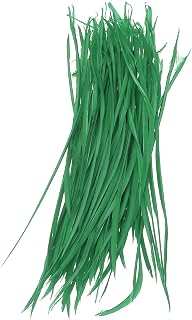 PATIKIL Plumas de Ganso Artificiales Largas, 100 Unidades, 5-7 Pulgadas (13-17 cm), Plumas Naturales de Ganso para Adornos de Sombreros de Mujer, Bodas, Fiestas, Verde