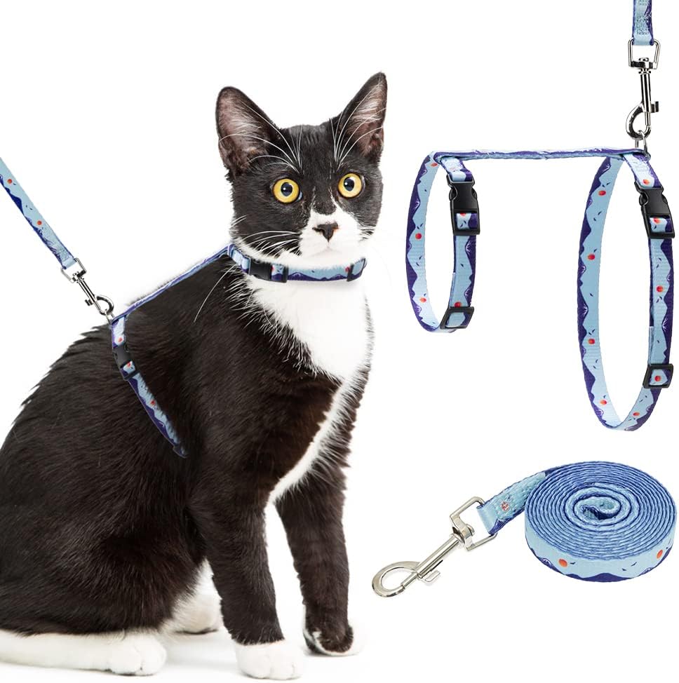 adams plus flea and tick shampoo