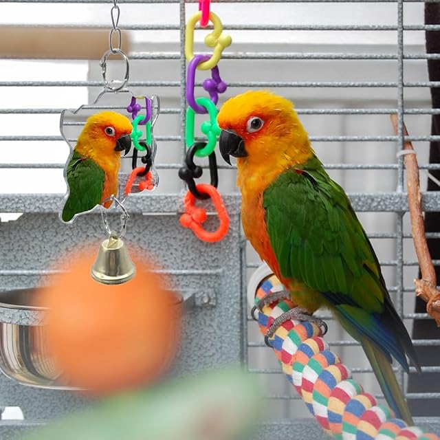 Foto 8 de 8 de Espejo de Pájaro con Campana, 2 Piezas de Mini Espejo de Pájaro, 32 cm de Largo, Divertido Juguete Pajaros