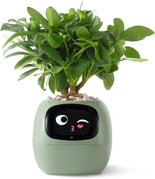 Smart Pet Planter AI-Powered Smart Vases with Emoji Plant Care Guidance, Adorable Gesture Interaction, Modern Home Vase/Decoration Vase for Bedroom & Desk Green