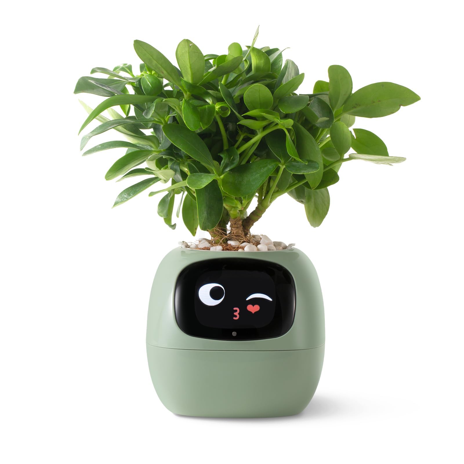 PLANTSIO Inteligentna donica dla zwierząt domowych, zasilana sztuczną inteligencją, z wytycznymi dotyczącymi pielęgnacji roślin, urocza interakcja z gestami, nowoczesny wazon dekoracyjny do sypialni i