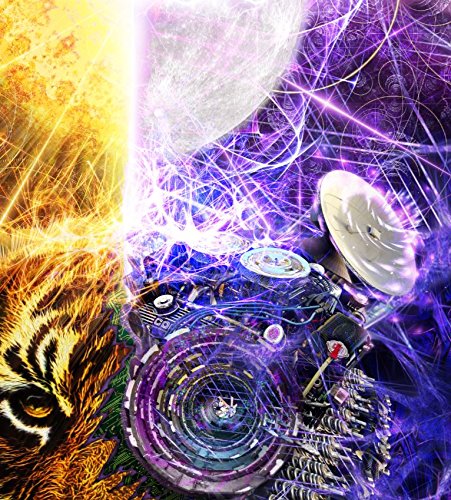 Lucid Eye Sun And Moon Tiger Tapestry, Surreal Trippy Art Wall Hanging For Bedroom Living Room Dorm, Tall 48X72 Inches #TOP2
