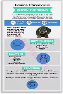 Canine Parvovirus Know The Signs Poster Vet Wall Art Poster Canvas Painting Posters And Prints Wall Art for Living Room Bedroom Decor 24x36inch(60x90cm) Unframe-style