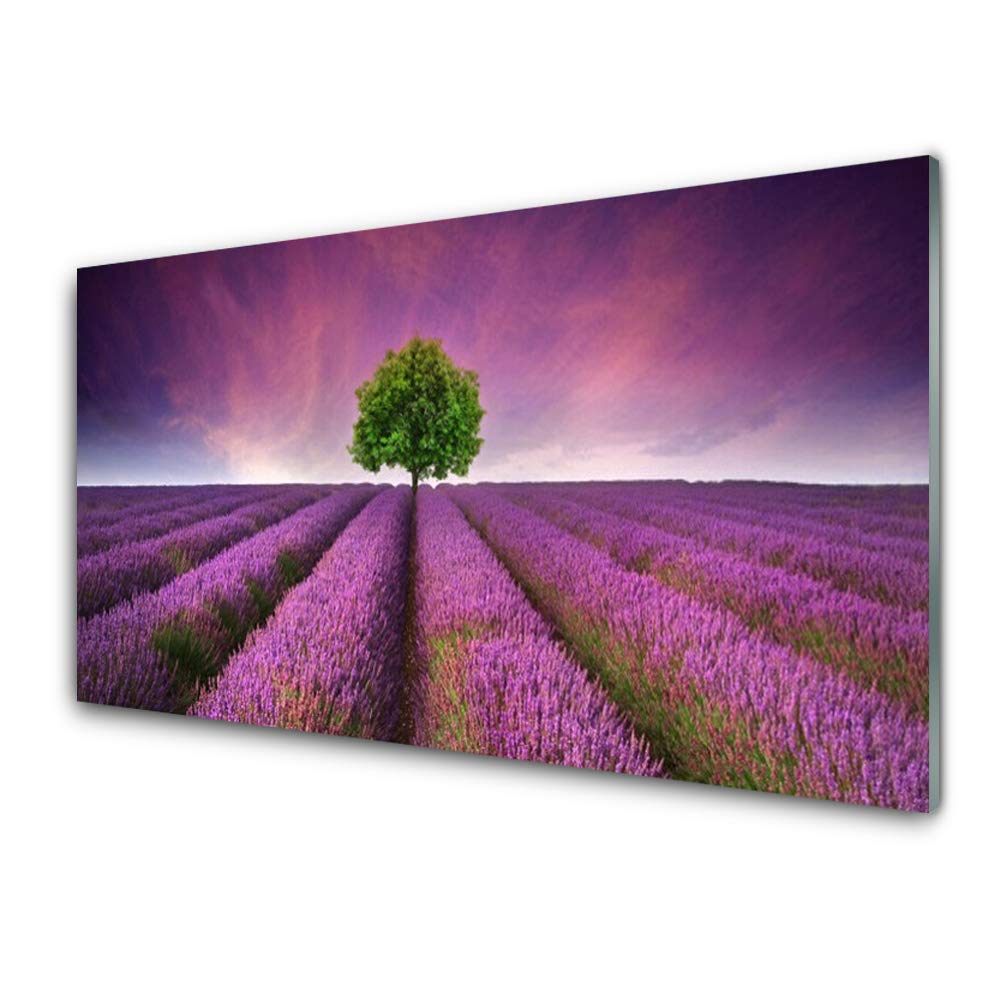 Tableau mural moderne Tulup en verre trempé 100x50 cm motif prairie nature