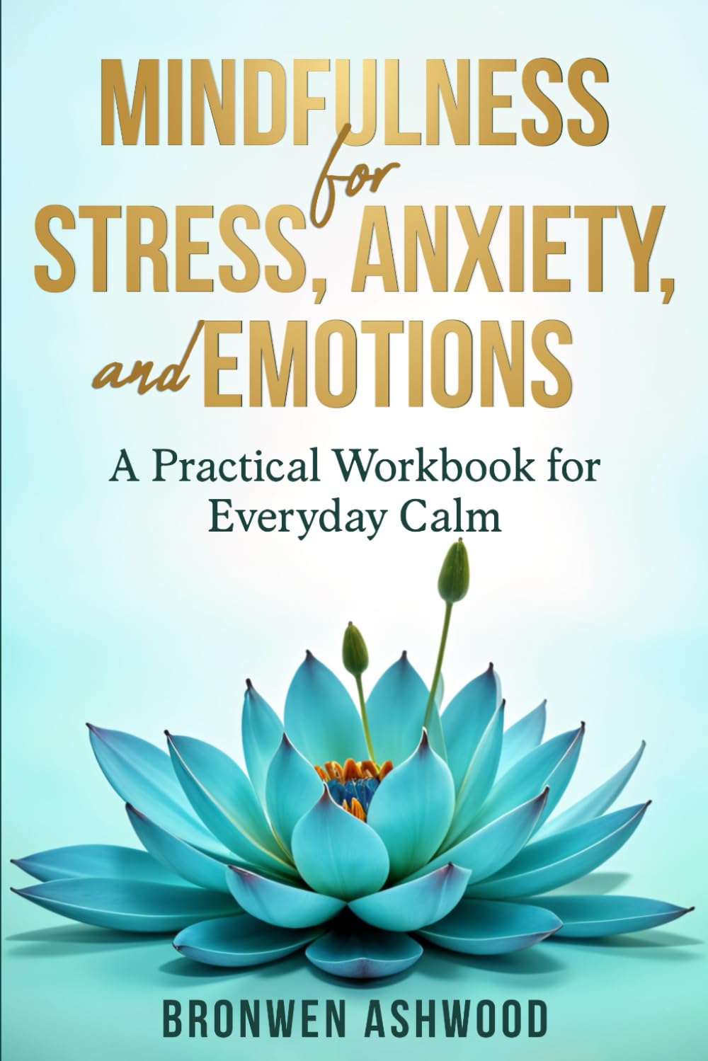 Mindfulness for Stress, Anxiety and Emotions: A Practical Workbook for Everyday Calm