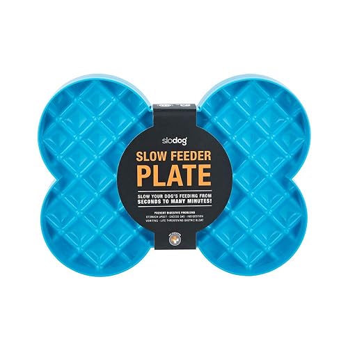 FayTun Slodog Slow Feeder No Gulp Dog Bowl, Azul, Azul