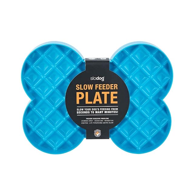 FayTun Slodog Slow Feeder No Gulp Dog Bowl, Azul, Azul