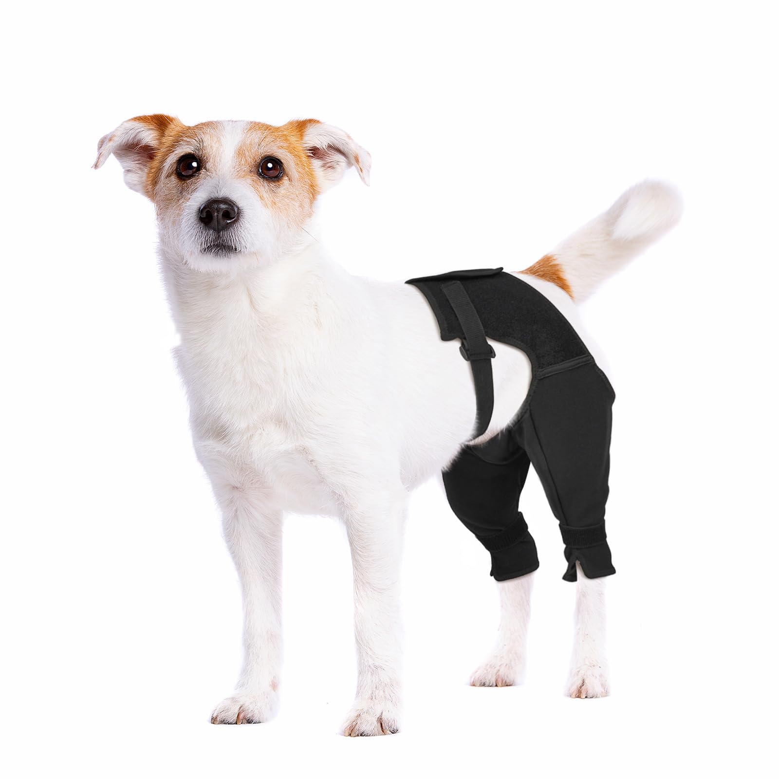 Photo 1 of Pawfun Dog Rear Leg Sleeve to Stop Licking, Breathable Anti-Slip Recovery Sleeve Pants for Wound Protection After ACL/TPLO Surgery, Hot Spots, Lick Granulomas–Cone Alternative for Leg Healing,3XL