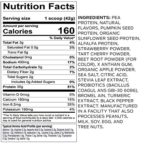 Vega Sport Premium Protein Powder, Berry, Plant Based Protein Powder Post Workout - Certified Vegan, Vegetarian, Keto-Friendly, Gluten Free, Dairy Free, BCAA Amino Acid (12 Count Single Serve Packs)