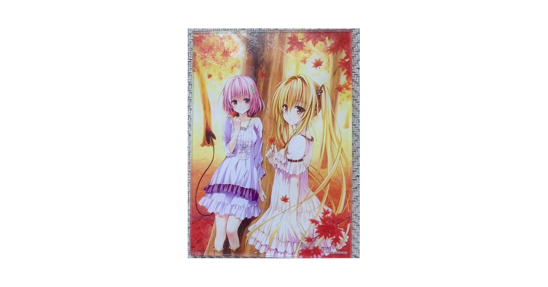 ToLoveる原画展　アクリルパネル　アートパネル11種 Amazon.co.jp: ToLOVEる 原画展 アートパネルL 集合B YS7 : ホビー