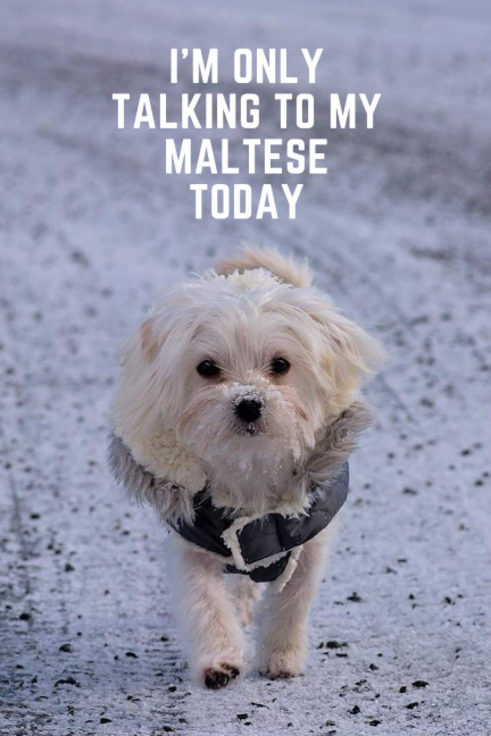 I'm only talking to my maltese today: Novelty maltese gift for dog owners/lovers - 110 page blank lined notebook