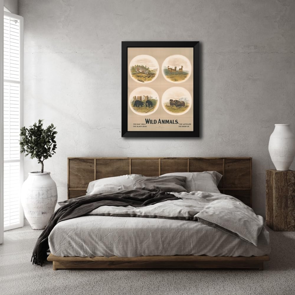 ArtDirect Wild animals no. 28 (1903) Custom Framed Art Print Giclee Print or Canvas Options with Various Sizes and Customization by Nature & Method Publ. Co.