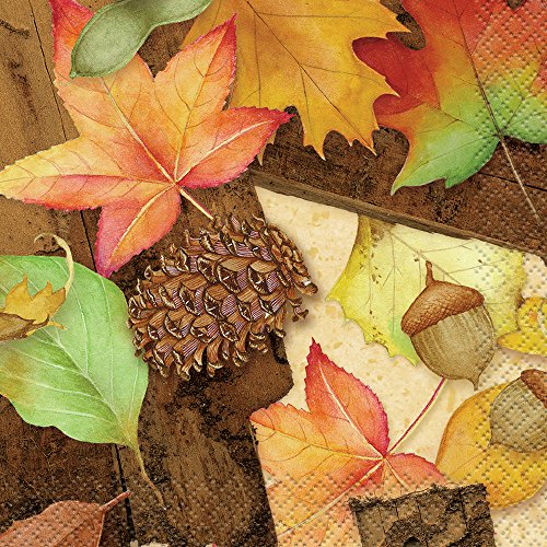 Woodland Fall Beverage Napkins, 16ct