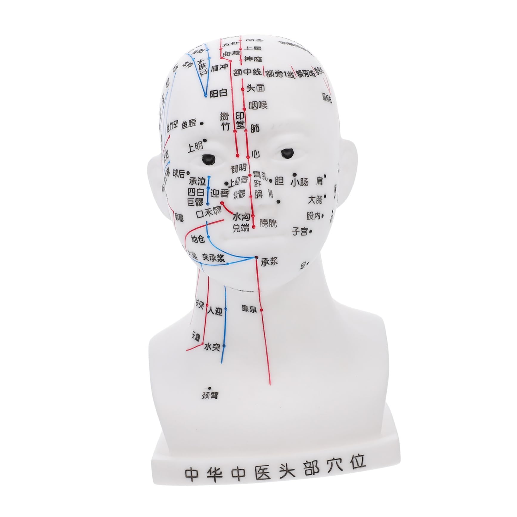 De Acupuntura De Cabeza De De Puntos De Acupuntura Facial Para Estudio y Enseñanza De Cabeza