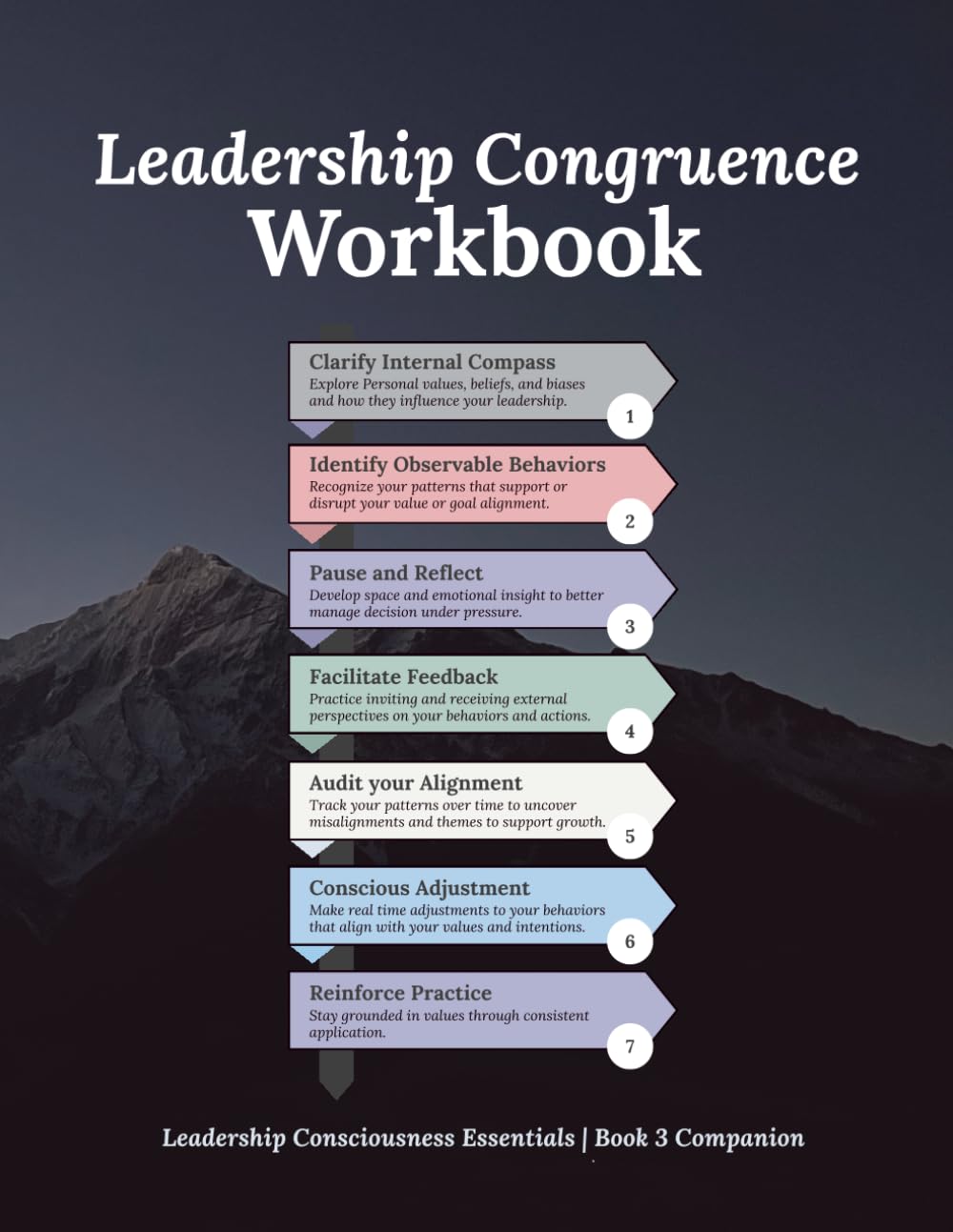 Leadership Congruence Workbook: Leadership Consciousness Essentials | Book 3 Companion