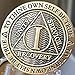 1 Year AA Medallion Reflex Antique Chocolate Bronze Chip