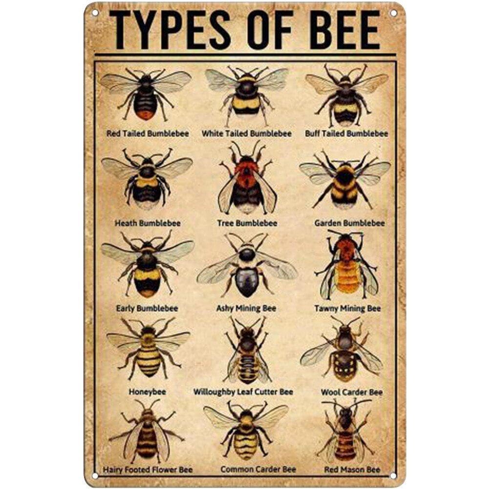 Dinntty As Shown Type Of Bee Metal Tin Sign Bee Knowledge Wall Sign Retro Nostalgic Art Poster For Restaurant Cafe Bar Decoration