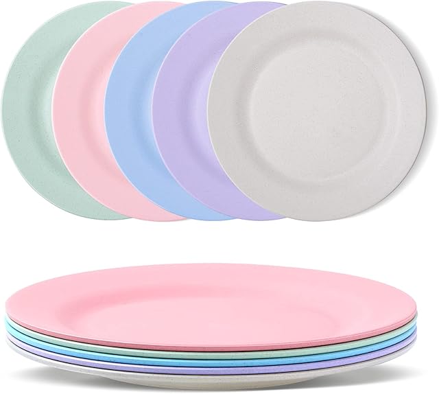 11 Inch Dinner Plates - Reusable & Unbreakable Plates 5 Pcs - Lightweight Salad Plates - Dishwasher & Microwave Safe