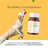 Ver la foto 4