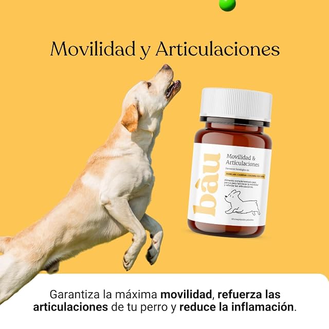 Foto 4 de 8 de BAU Suplemento Articular Perro - Compresas para Movilidad & Confort Articular Perros