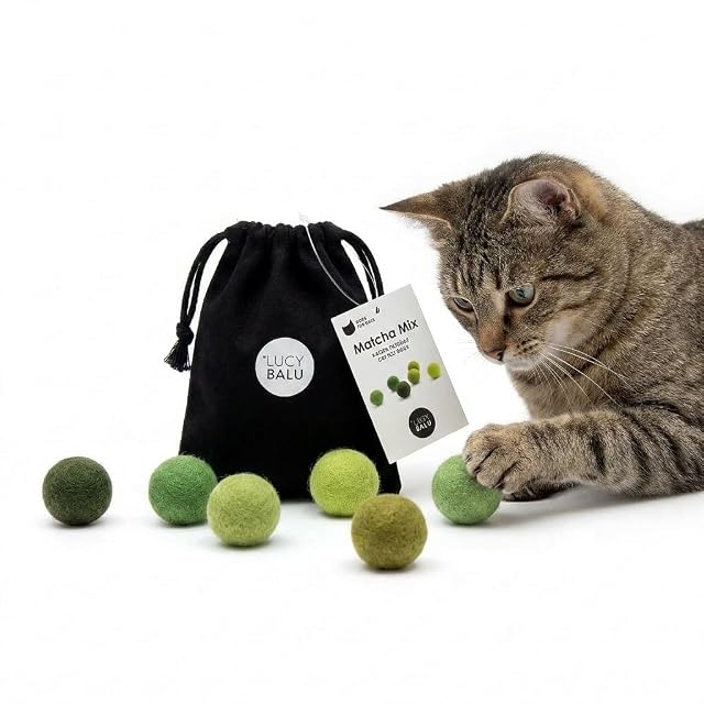 LucyBalu Bolas de fieltro para gatos, juguetes para gatos, pelotas de fieltro para gatos