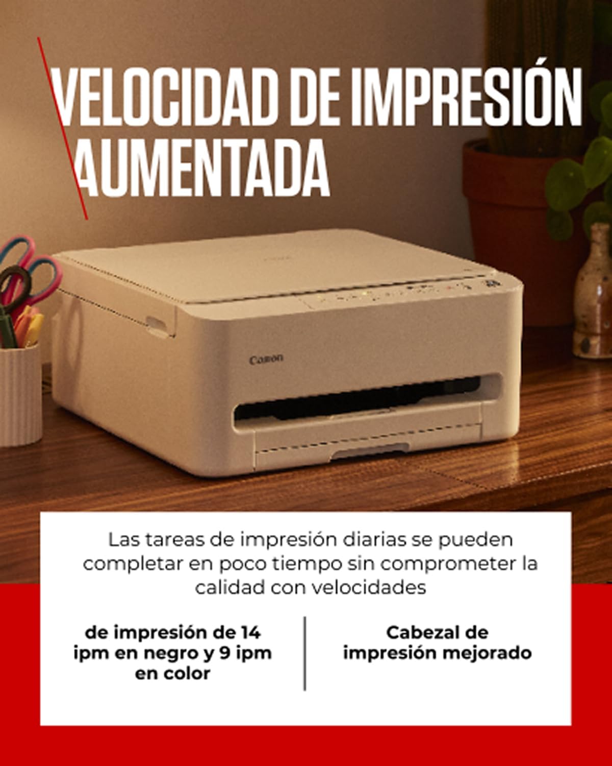 Vue 4