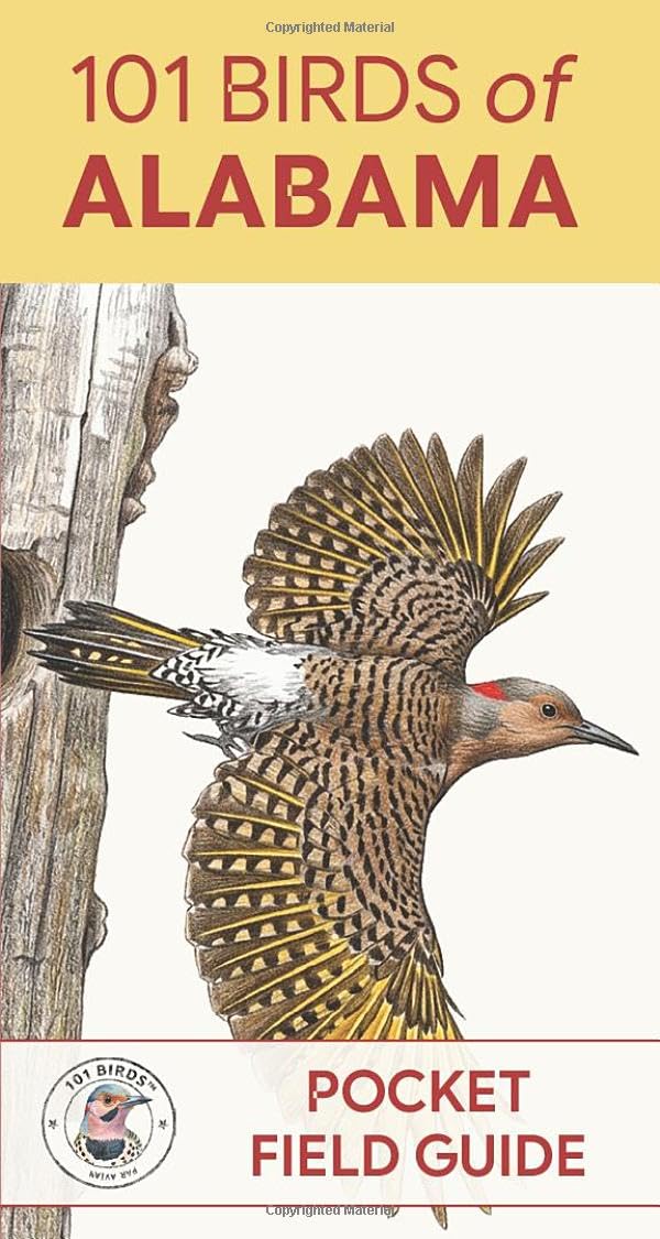 101 Birds of Alabama: Pocket Field Guide (101 Birds Pocket Field Guides)